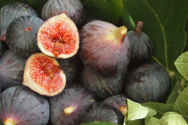 Figues de Solliès-Pont : Découvrez le dessert d&rsquo;automne incontournable chez Frankie Family, votre restaurant à Toulon.